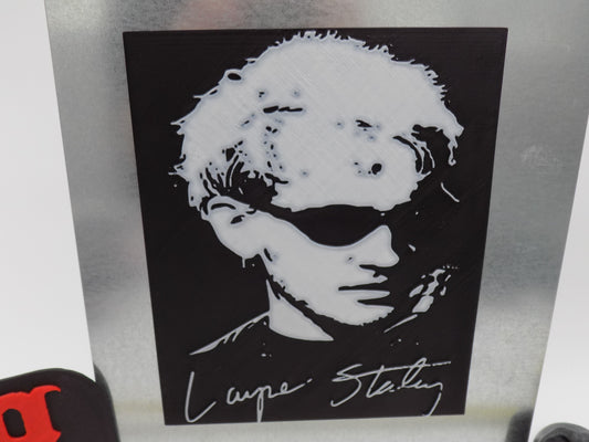 Alice in Chains, Layne Staley Fridge Magnet, Huge! Won't find another one! 😍